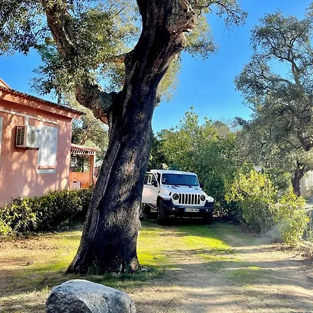 Casa vacanze Pinèda Sainte-Lucie de Porto-Vecchio